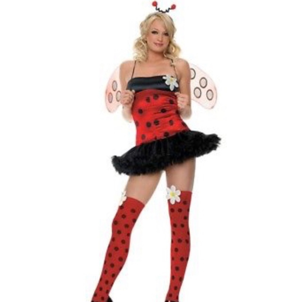LAST CHANCE Sexy Lucky Lady Bug costume